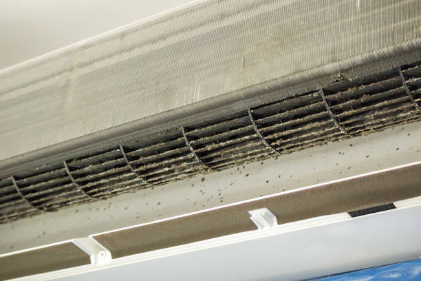Best HVAC System Cleaning  in Sarasota Springs, FL